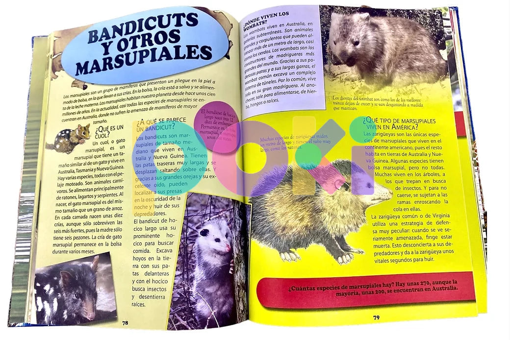 Enciclopedia de los Animales