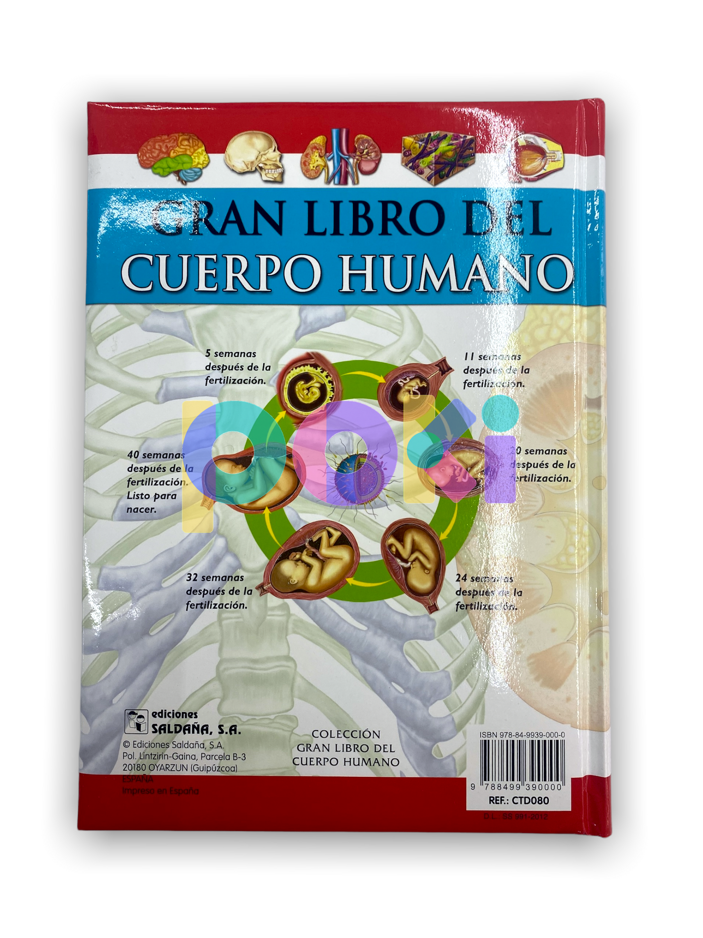 Gran Libro del Cuerpo Humano