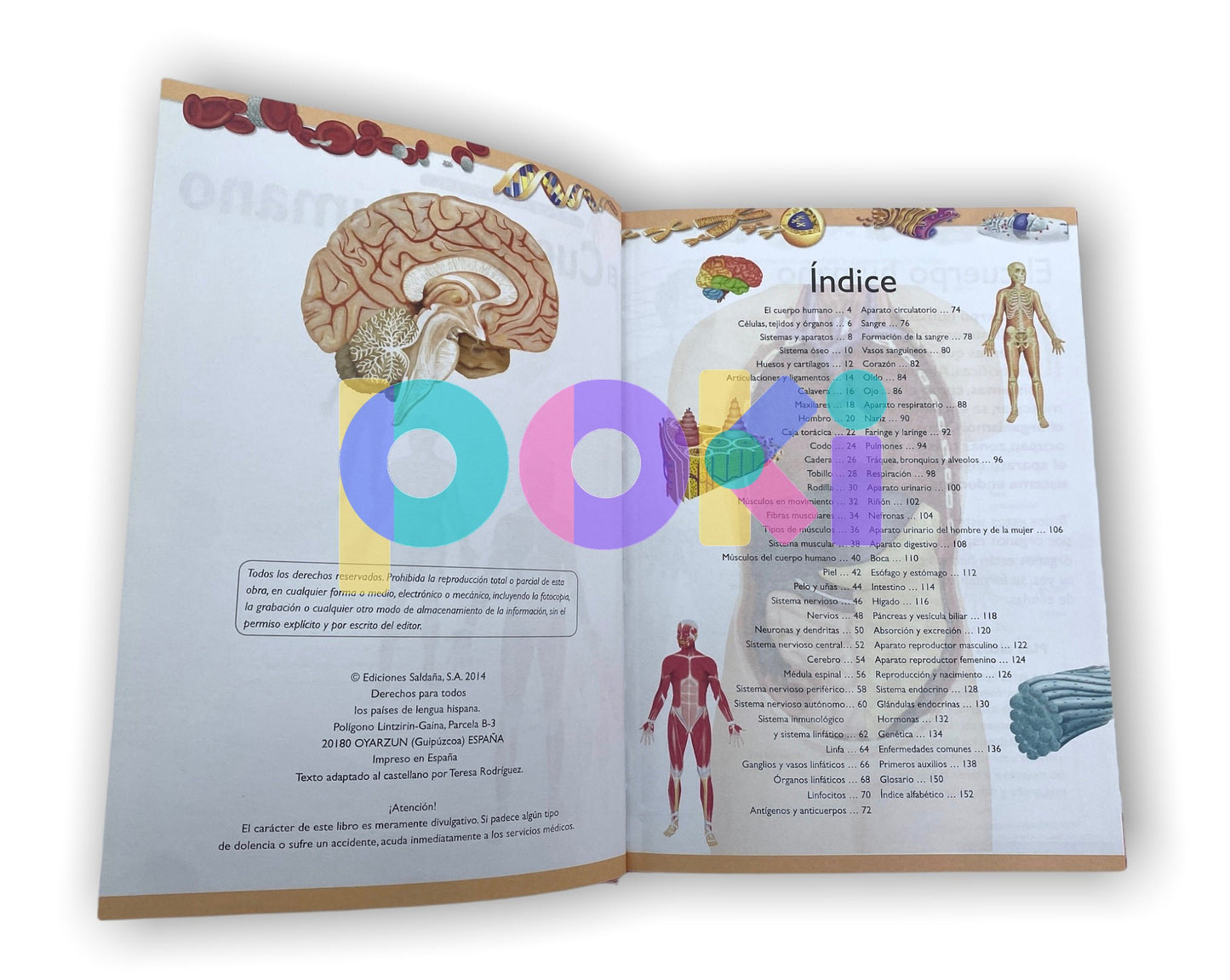 Gran Libro del Cuerpo Humano