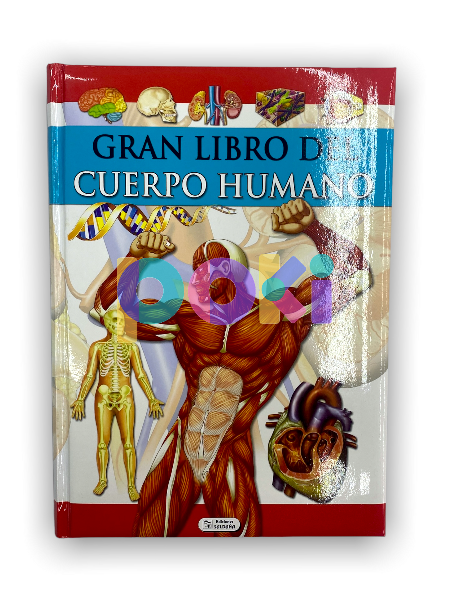 Gran Libro del Cuerpo Humano